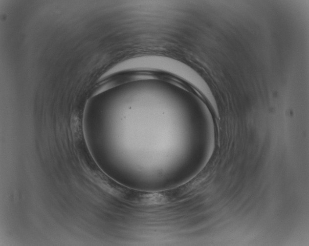 X0000074340087200608251401