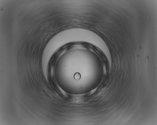 X0000074340088200608251401