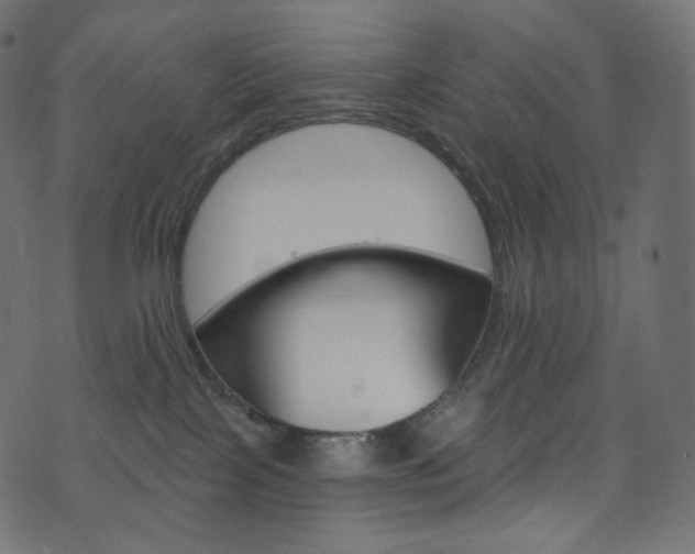 X0000074340089200608251401