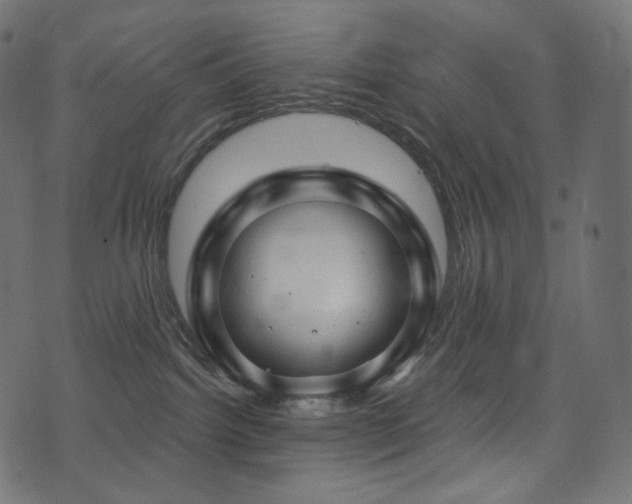 X0000074340092200608251401