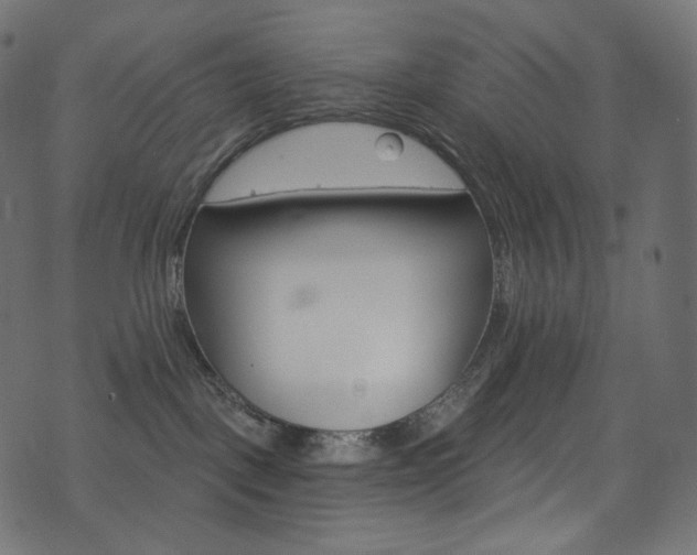 X0000074340093200608251401