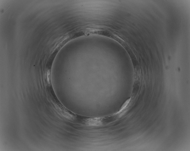 X0000074340094200608251401