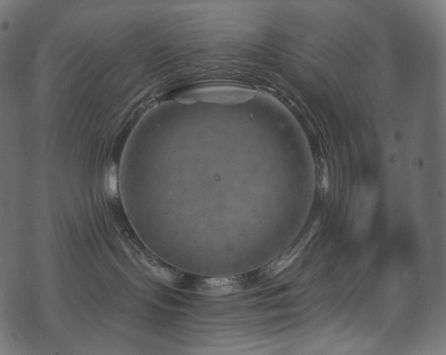 X0000074340095200608251401