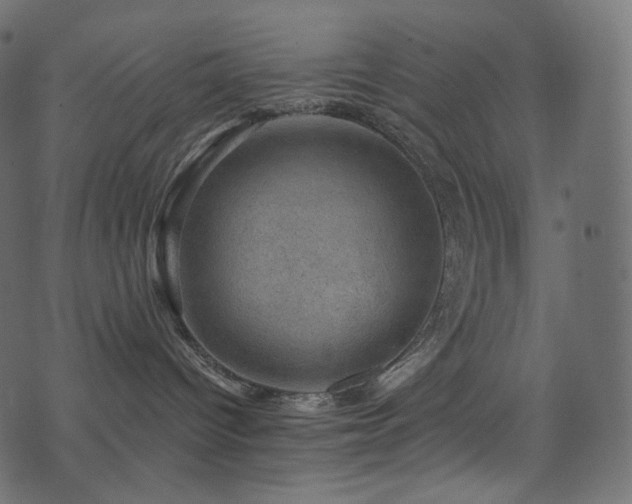 X0000074340096200608251402