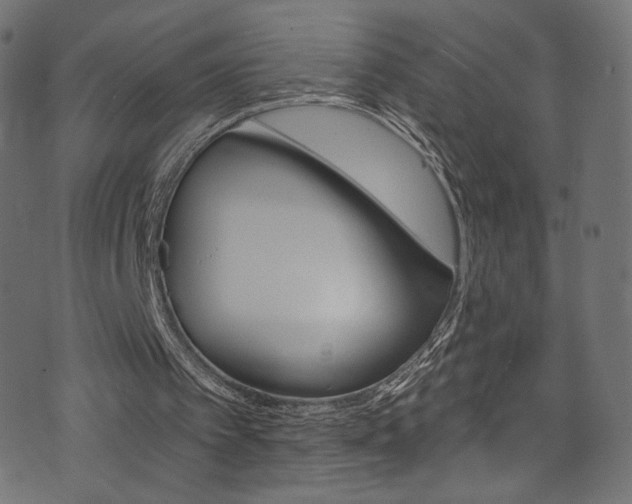 X0000074340097200608251401