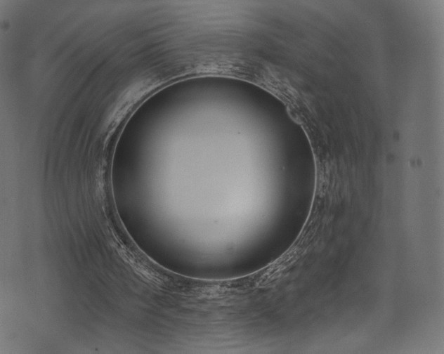 X0000074340098200608251401