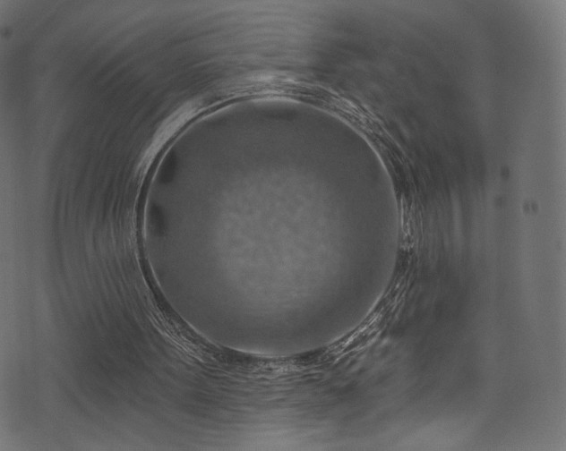 X0000074340099200608251401