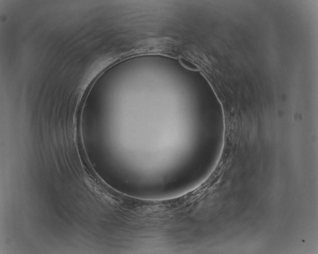 X0000074340100200608251401