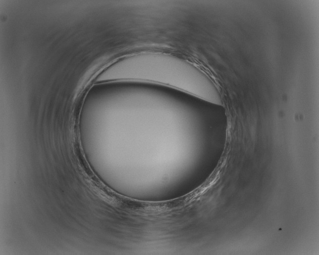 X0000074340101200608251401