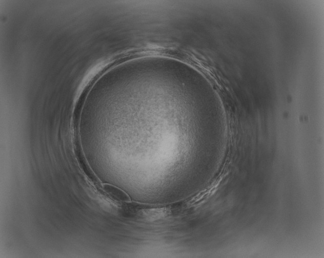 X0000074340102200608251401