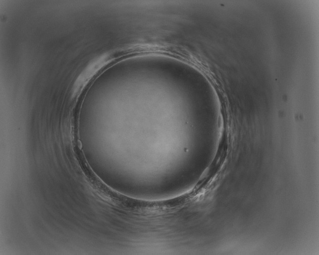 X0000074340103200608251401