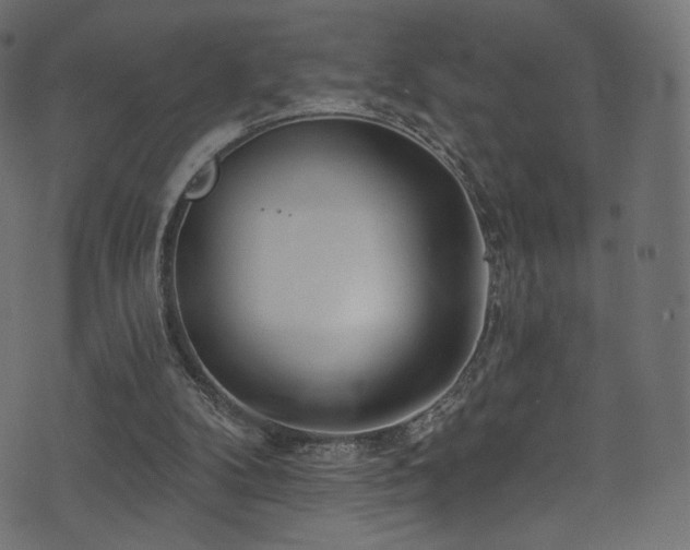 X0000074340104200608251401