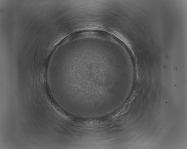 X0000074340105200608251401