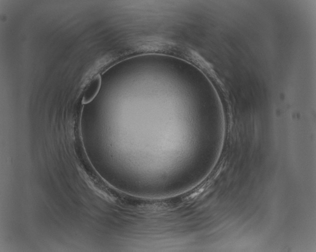 X0000074340106200608251401