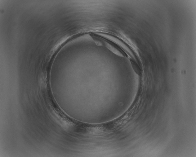 X0000074340107200608251401