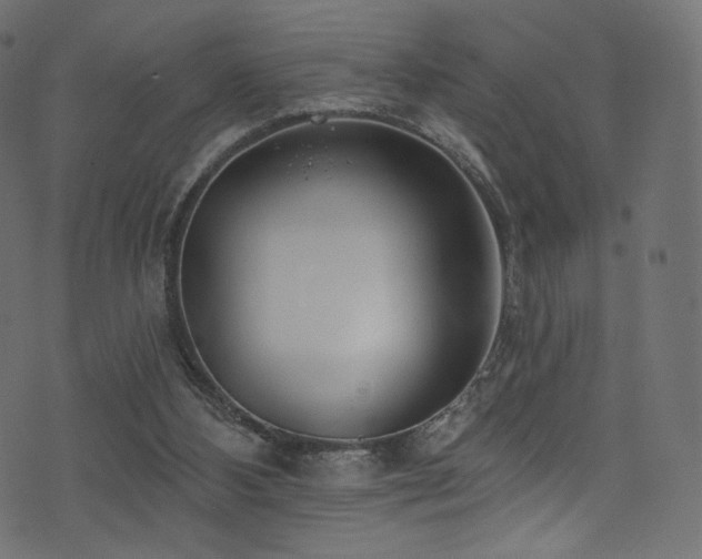 X0000074340108200608251401