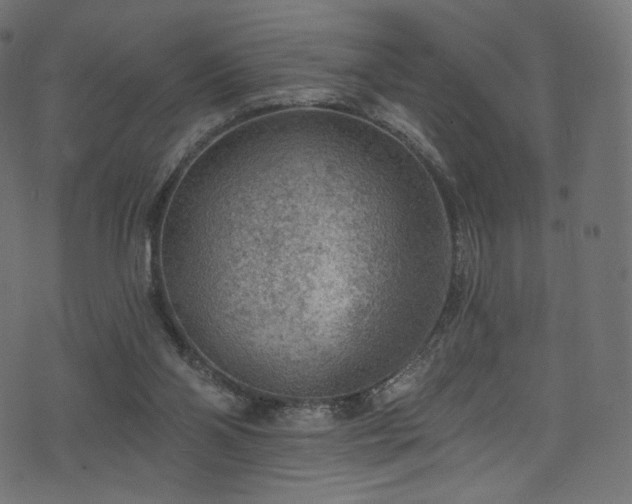 X0000074340110200608251401