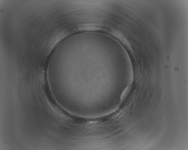 X0000074340111200608251401