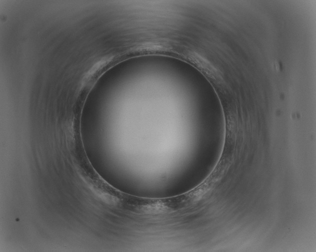 X0000074340112200608251400