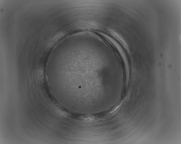 X0000074340113200608251400