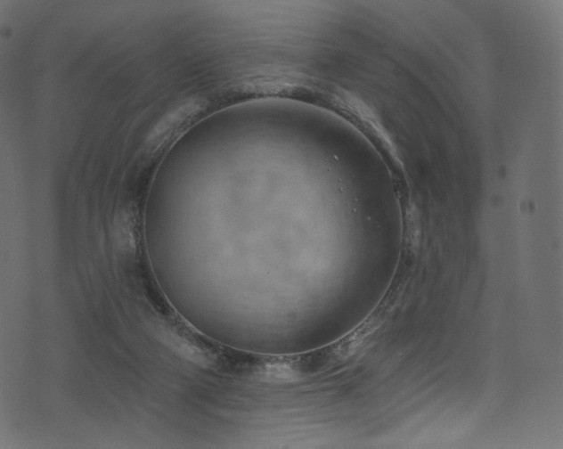 X0000074340114200608251400