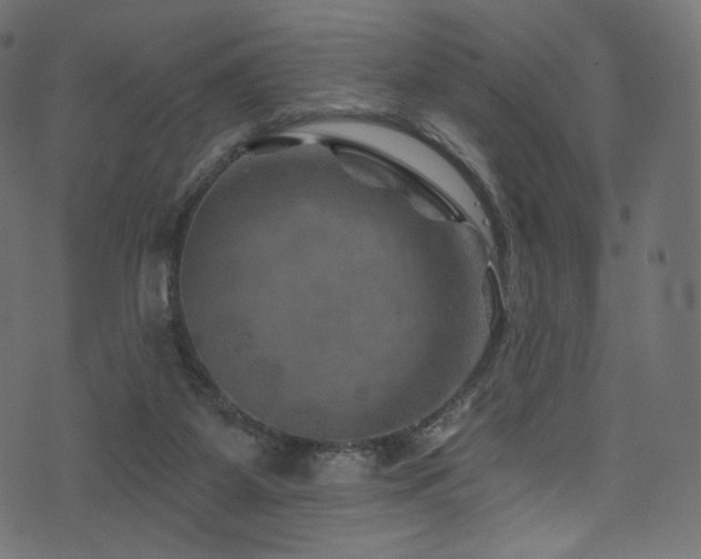 X0000074340115200608251400