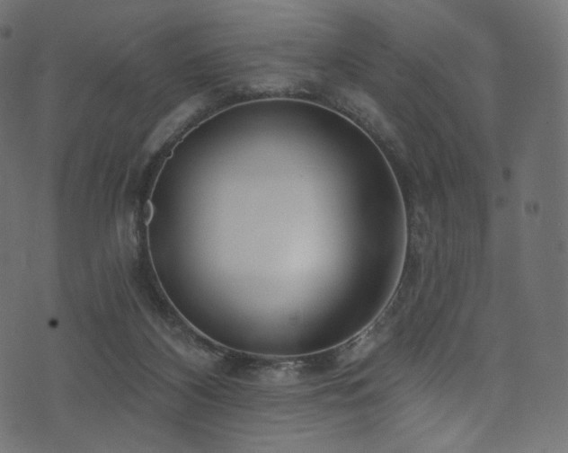 X0000074340116200608251400