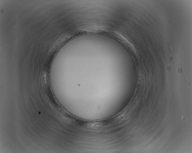 X0000074340117200608251400