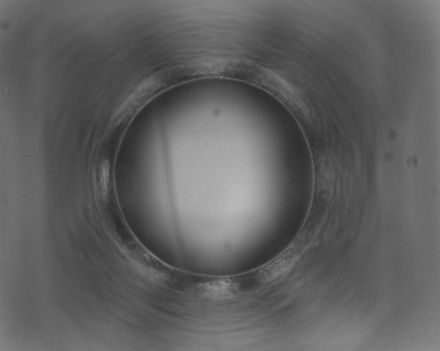 X0000074340118200608251400