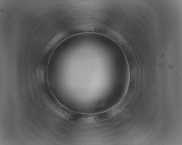 X0000074340120200608251400