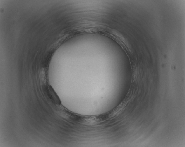 X0000074340121200608251400