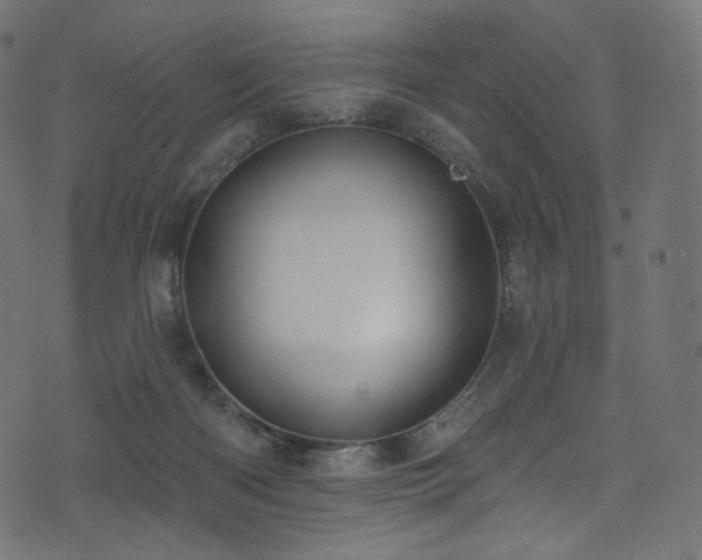 X0000074340122200608251400