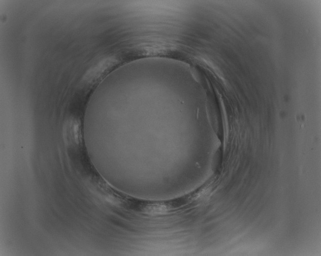 X0000074340123200608251400