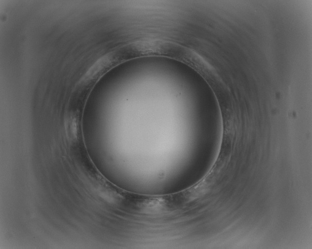 X0000074340124200608251400