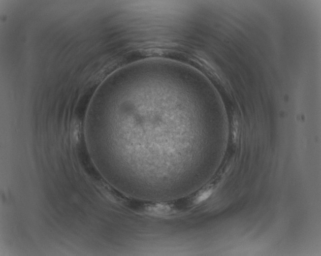 X0000074340125200608251400