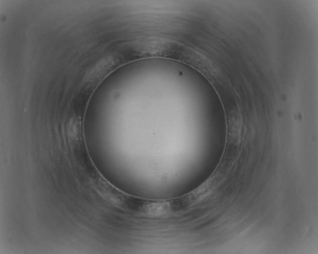 X0000074340126200608251400