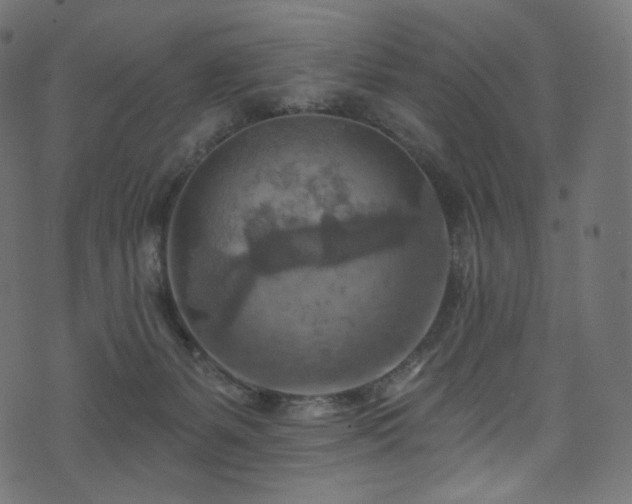 X0000074340127200608251400