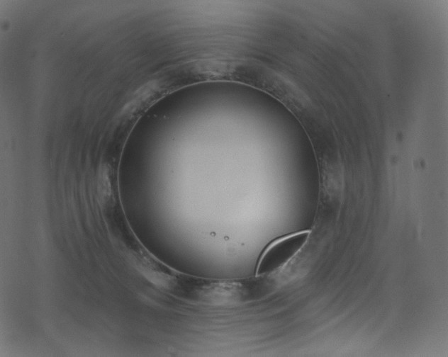 X0000074340128200608251400