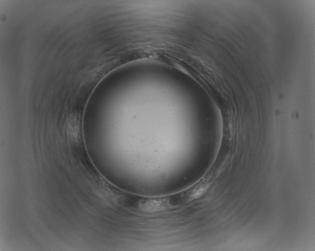 X0000074340129200608251400