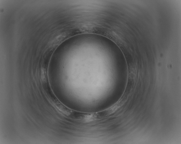 X0000074340130200608251400