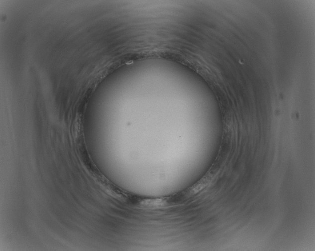 X0000074340133200608251400