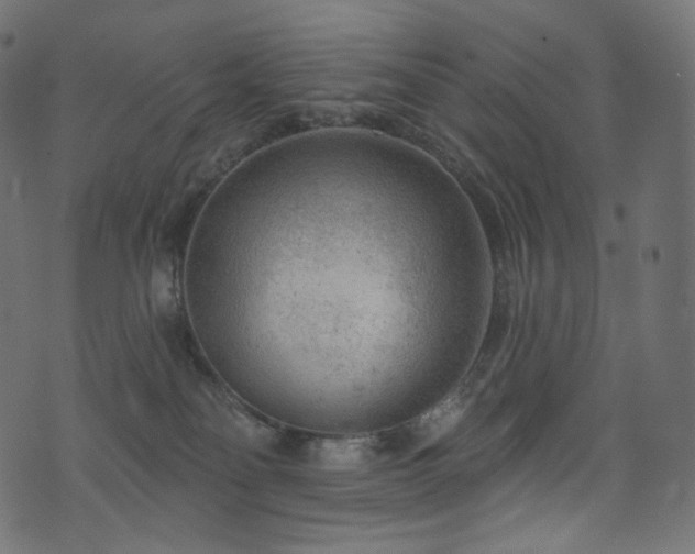 X0000074340134200608251400