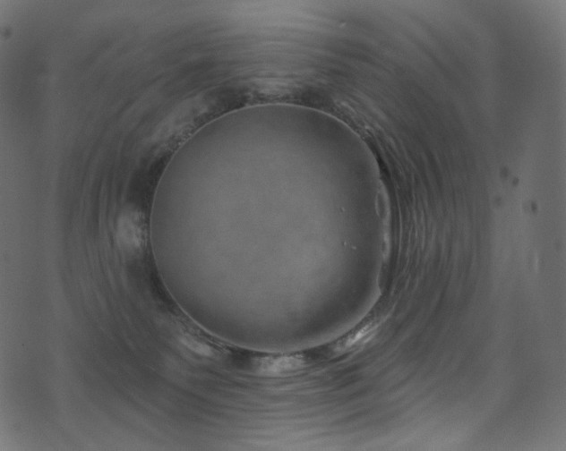 X0000074340135200608251400