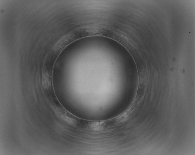 X0000074340136200608251400