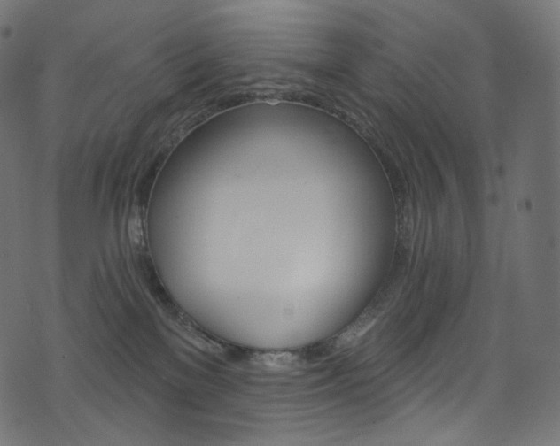 X0000074340137200608251400