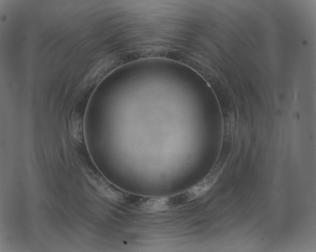 X0000074340138200608251400