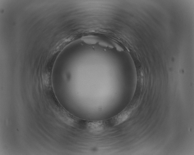 X0000074340139200608251400