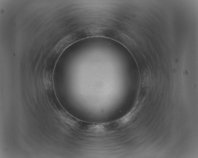 X0000074340140200608251400