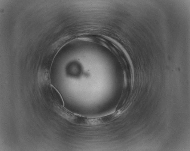 X0000074340141200608251400