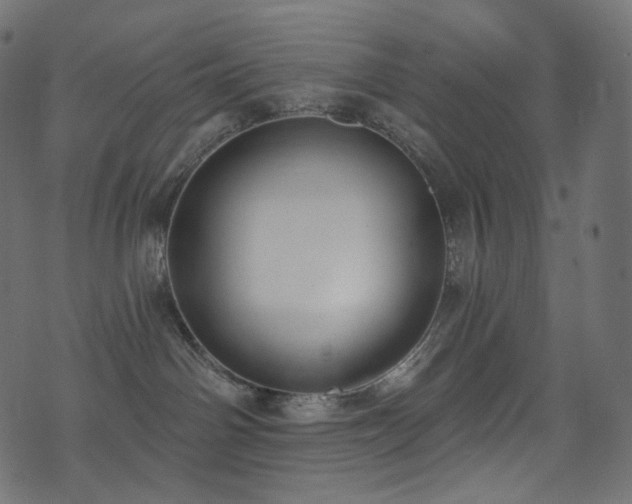 X0000074340142200608251400